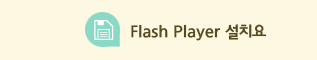 Flash Player ��ġ